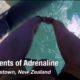 Elements of Adrenaline: Adventure Sports in Queenstown, New Zealand