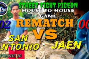 KARERA NG KALAPATI // STREET FIGHT PIGEON // HOUSE TO HOUSE GAME (REMATCH) SAN ANTONIO VS JAEN