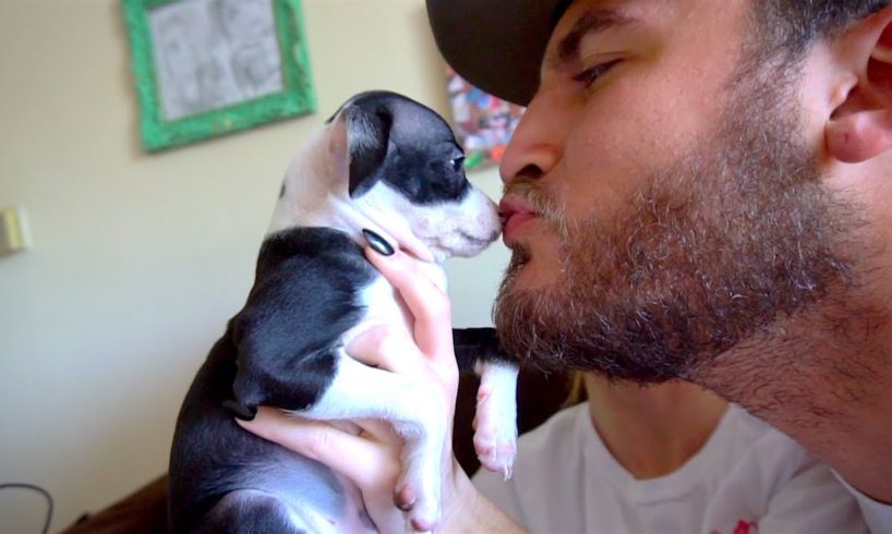 MEETING THE CUTEST PUPPY IN THE WORLD!!