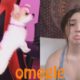 Omegle...But The WORLDS CUTEST PUPPY