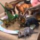 Playing with extinct animals! - Extinct Animal Week - Part 5