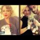 Taylor Swift Vs. Zayn Malik & Perrie Edwards: Cutest Kitten?!