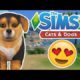 The CUTEST Puppy Ever! | The Sims 4 YouTuber Pets | Episode 12