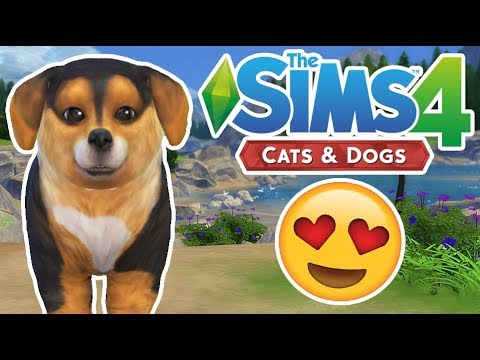 The CUTEST Puppy Ever! | The Sims 4 YouTuber Pets | Episode 12