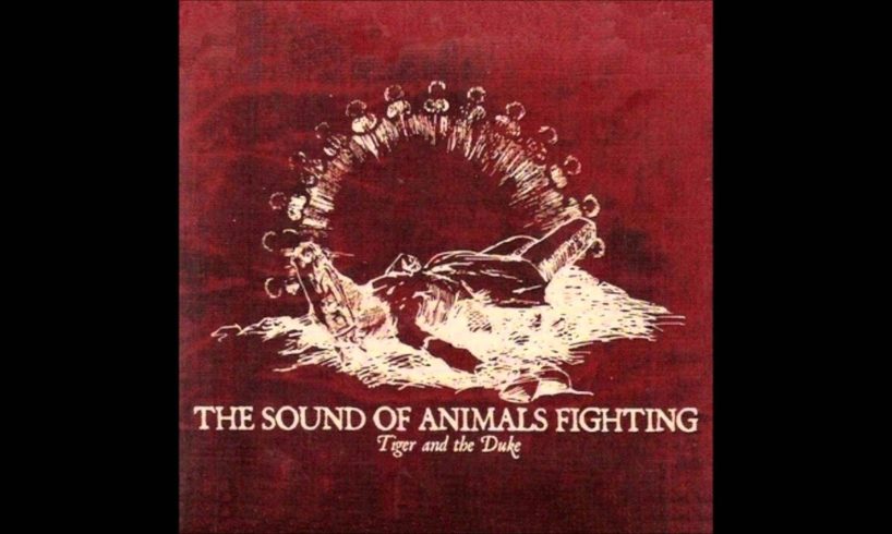 The Sound of Animals Fighting - Act: IV You Don't Need A Witness