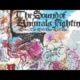 The Sound of Animals Fighting - Stockhausen, Es Ist Ihr Gehirn, Das Ich Suche