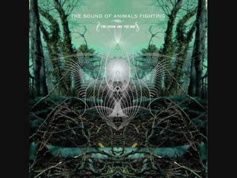 Uzbekistan - The Sound Of Animals Fighting