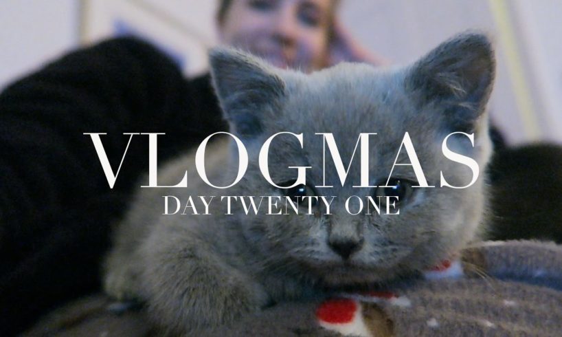 Vlogmas Day 21 | The Cutest Kitten Ever?!