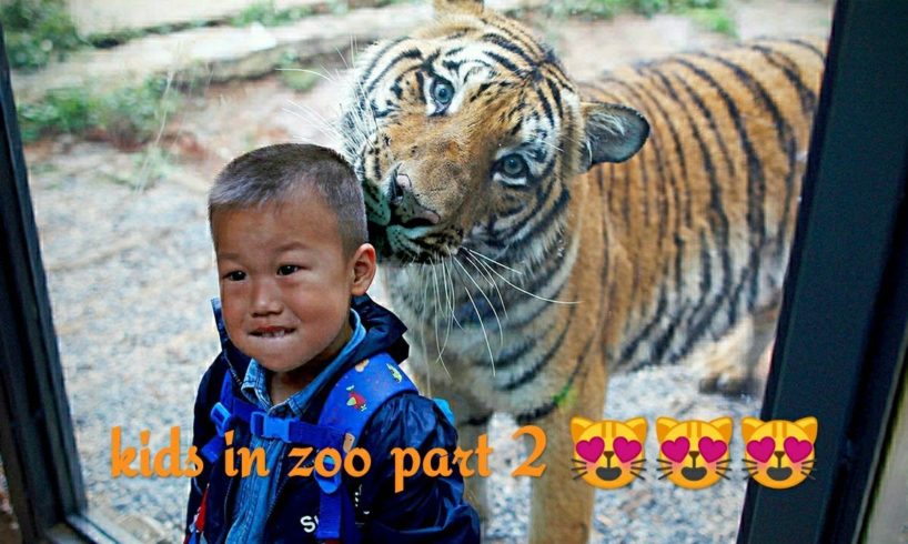 kids playing with wild animals in zoo part 2 ????