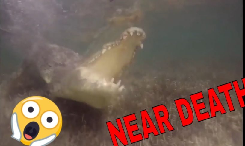 swimming with ALLIGATORS (ATTACK)? NEAR DEATH EXPERIENCE COMPILATION  captured by GoPro