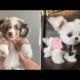 AWW SO CUTE! Cutest Puppy Videos Compilation - Cute Animals World #3
