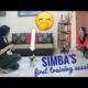 Baby Simba learns name command | Cutest Puppy Training Video ??