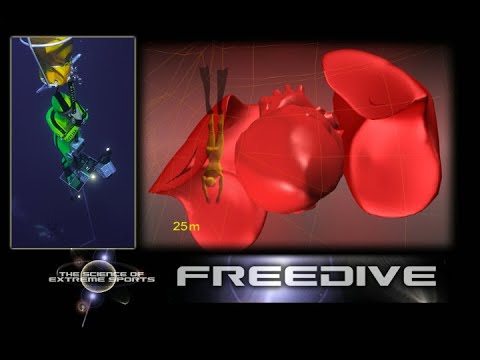 Freedive: The Science of Extreme Sports (DEMO)