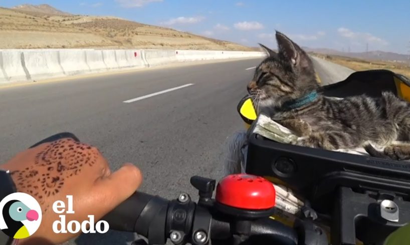 Mujeres en viaje en bici rescatan una gatita callejera | El Dodo