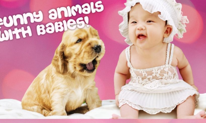 ? FUNNY ? Animals playing with ? BABIES [COMPILATION]