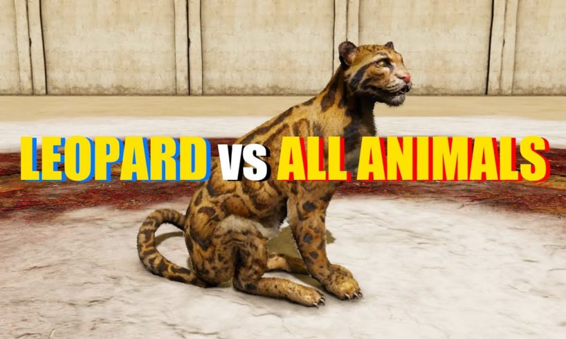 Far Cry 4 Animal Fight - Leopard vs All Animals