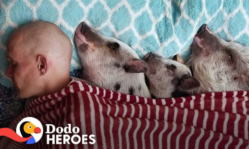 Guy Fills His Condo With Rescued Farm Animals | The Dodo Heroes