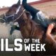 Horse Girl: Fails of the Week (July 2020) | FailArmy