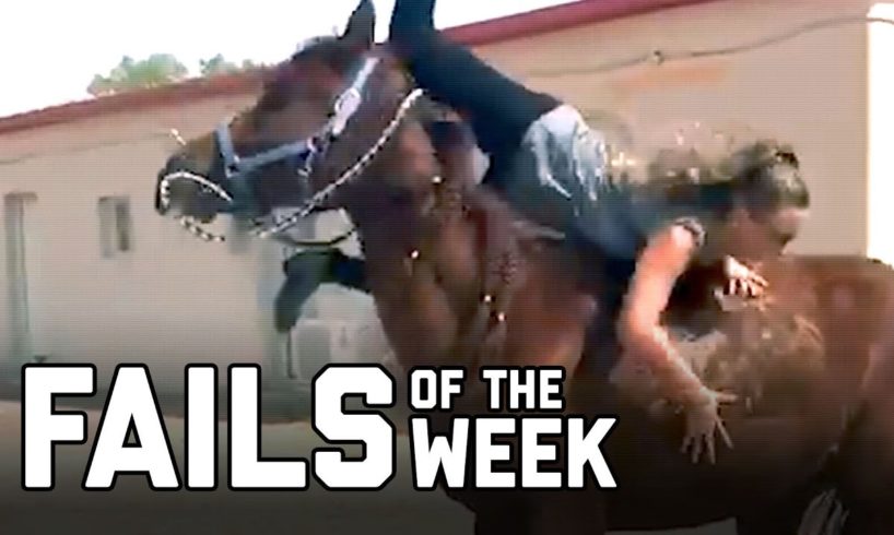 Horse Girl: Fails of the Week (July 2020) | FailArmy
