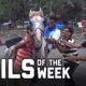 Horsing Around: Fails of the Week (August 2020)