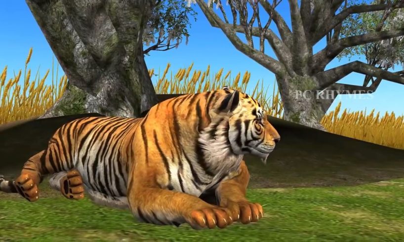 Lion King Vs Tiger Cartoon Animal Fights | Lion Attacks Tiger | Wildlife Animal Planet