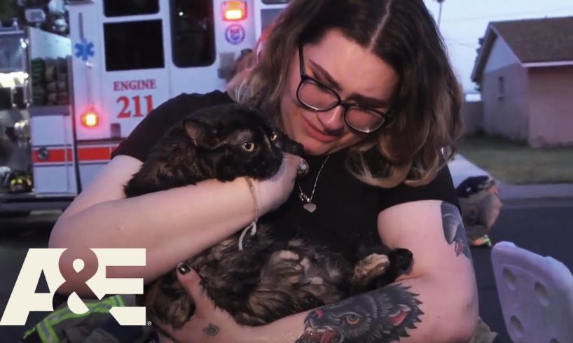 Live Rescue: Top 6 Animal Rescues | A&E