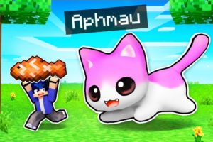 Minecraft But We Play As The CUTEST Kittens!