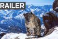 Planet Earth II: Official Extended Trailer | BBC Earth