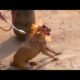 Poor Dog Rescued From HEARTLESS Man ! HAPPY ENDING Animal Rescue Video 2020
