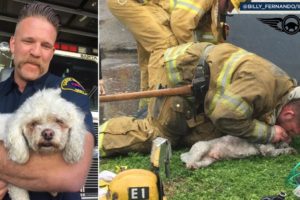 REAL LIFE HEROES. Firefighters Rescue Animals