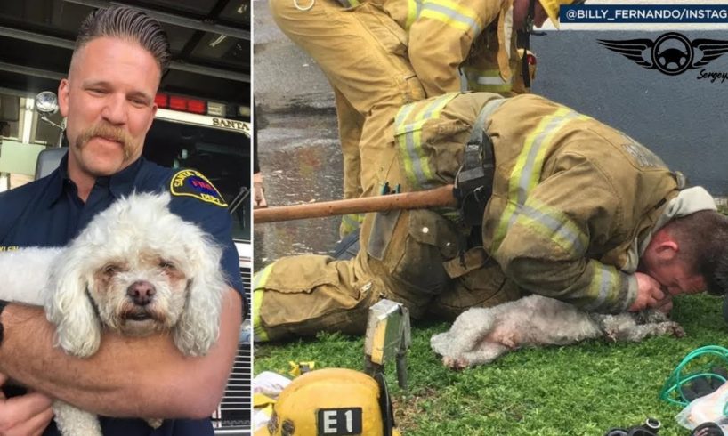 REAL LIFE HEROES. Firefighters Rescue Animals