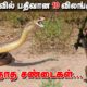 கேமராவில் பதிவான10 விலங்குகளின் விநோத சண்டைகள் | 10 CRAZIEST ANIMAL FIGHTS CAUGHT ON CAMERA