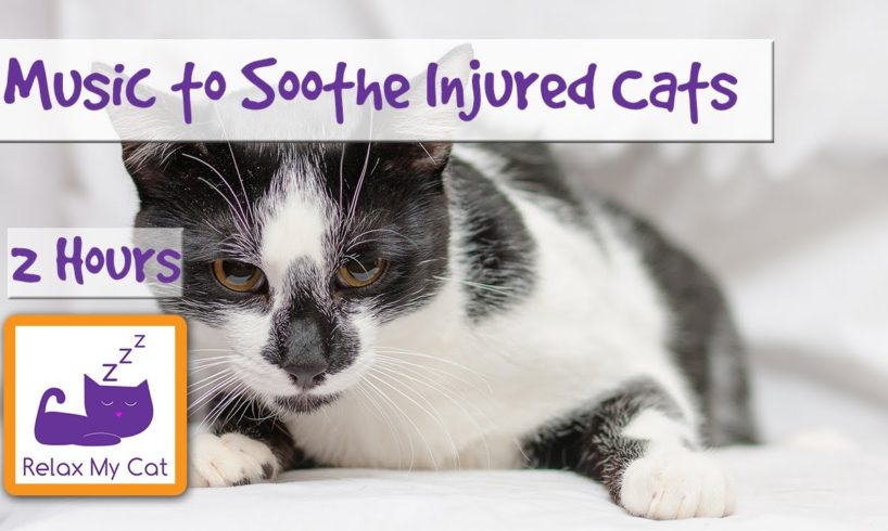 2 Hours of Soothing Music for Injured or Poorly Cats - Calm Down Your Cat with Music