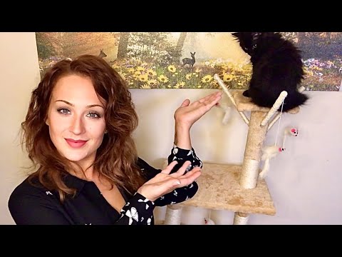 CUTEST KITTEN Update!!