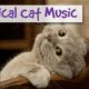 Classical Music for Cats! Classical Music with Orchestra and Piano to Relax Your Cat!