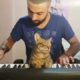 Cute #Cat mesmerising the feel of #Music #Pets