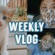 DWIGHT SHRUTE MASK, HYPE DROP HAUL, & THE CUTEST KITTENS