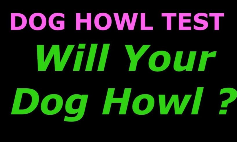 Dog Howl Test ~ Sounds To Make Your Dog Howl dog tv stimulation