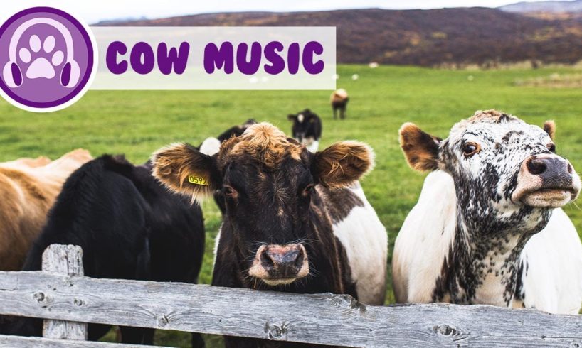 Help my cow relax! Get the best milk out of your cattle! Moosic!