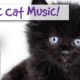 Magic Cat Music! Watch Your Cat Fall Asleep Before Your Eyes with Our Specially Designed Cat Music!