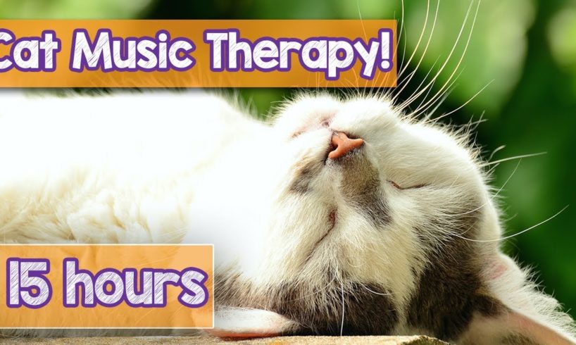 PET MUSIC THERAPY for Cats, Natural Remedy to Anxiety and Loneliness. De-Stress and Relax Cats!