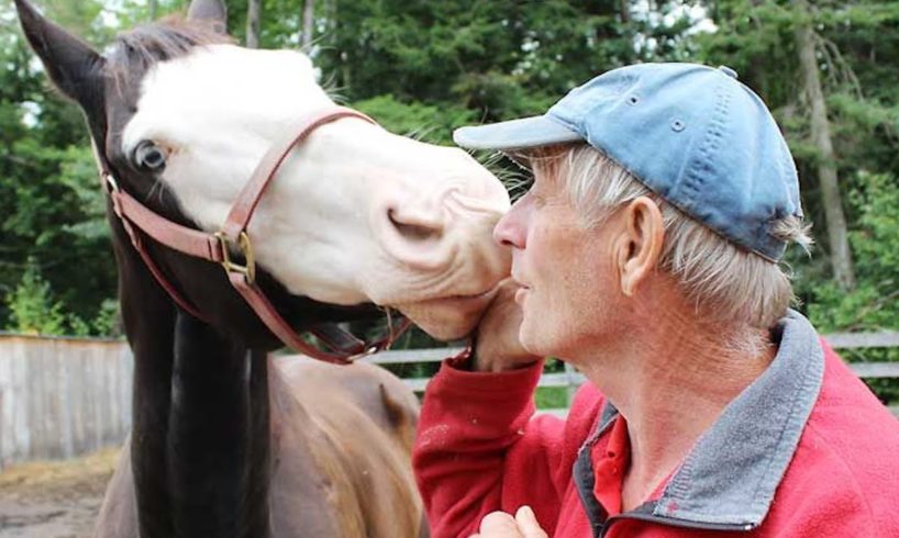 Petting farm for rescued animals in need of saving