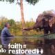 Rescued Elephant Has The Sweetest Reaction To Music | The Dodo Faith = Restored