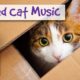 Soothing Music for Scared Cats - Music to Help Your Cat Relax! Soothing Music for Cats