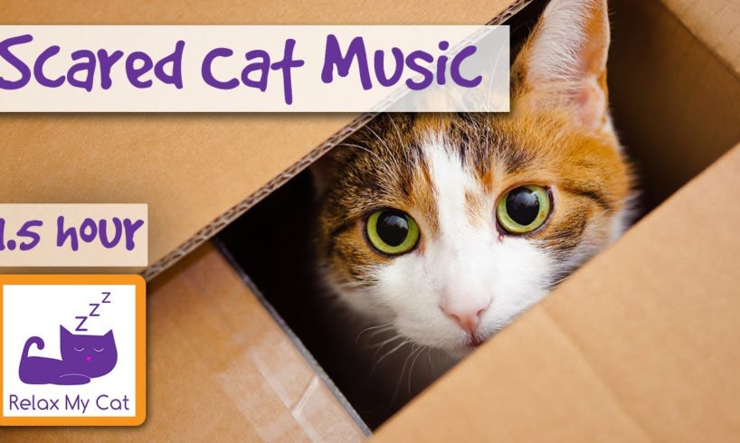 Soothing Music for Scared Cats - Music to Help Your Cat Relax! Soothing Music for Cats