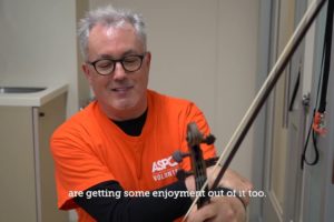 This Man Comforts Shelter Dogs by Playing the Violin