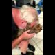World's Cutest kitten tummy kisses all grown up!