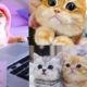 awesome cutest kittens in the world---cutest kittens ever