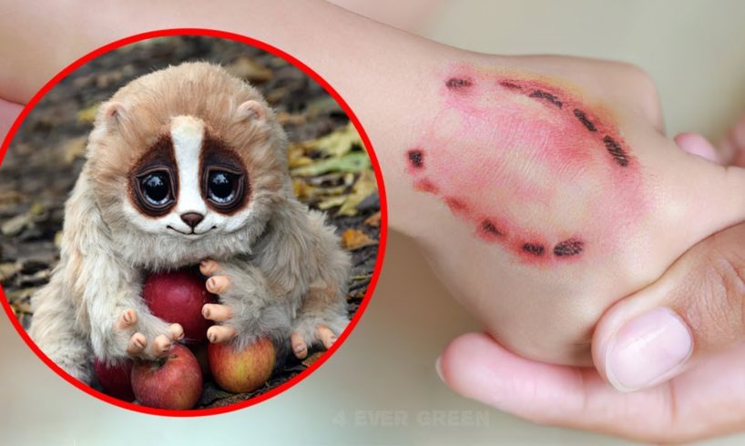 10 Cute Animals That Are Actually Deadly