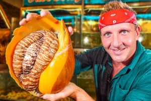 $10 Snail VS $120 Snail!!! Rare GIANT Seafood in Asia!!